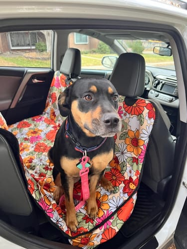 Customer photo from Kaylee