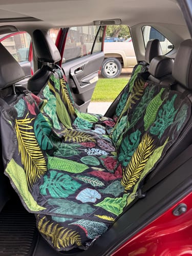 Customer photo from Ronnie