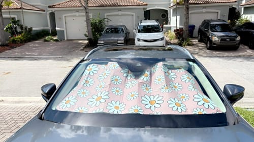 Customer photo from Courtney