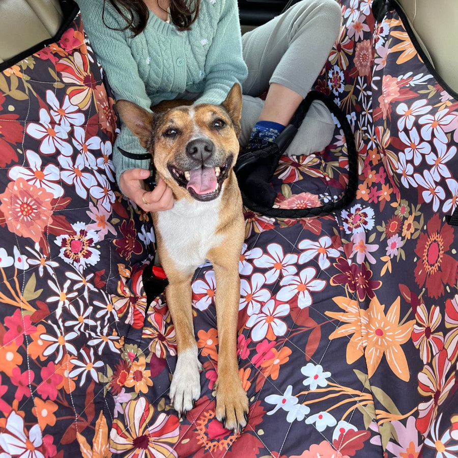 Bohemian Dream Dog Car Seat Covers with a dog sitting on it in a car