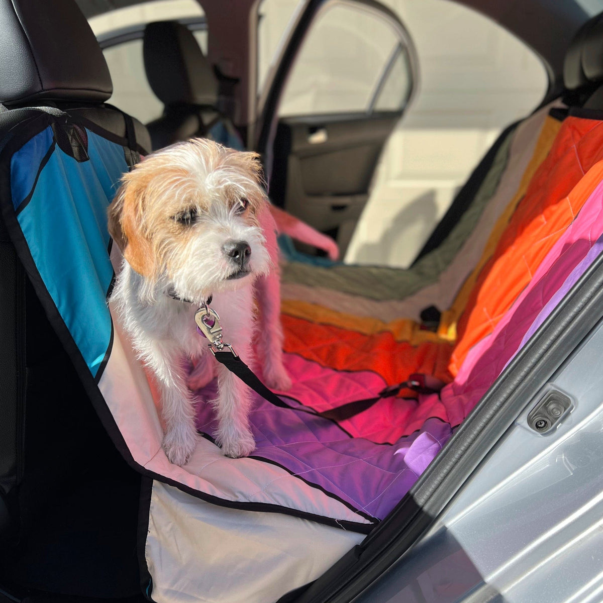 Shine hai dog car hotsell seat cover