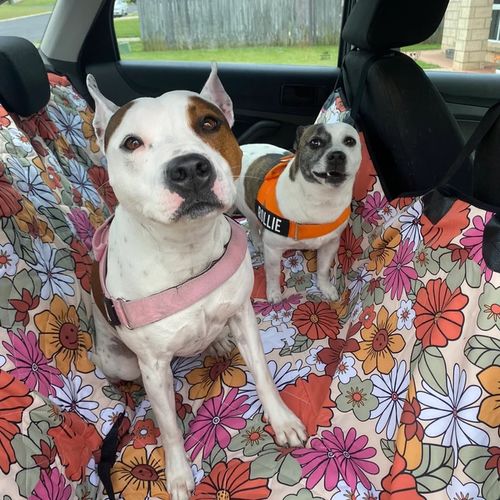 Customer photo from Mattisse