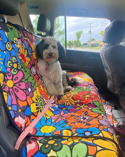 Customer photo from Robyn F.