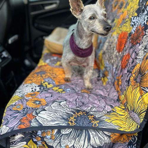 Customer photo from Nikki E.