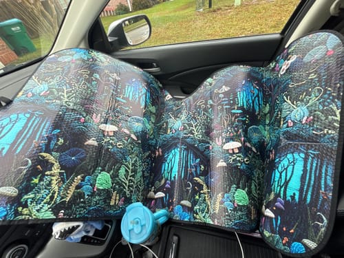 Customer photo from Holly