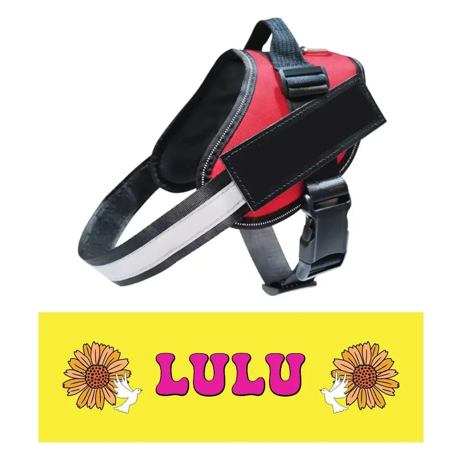 Personalized Dog Harness with or without Custom Dog Name Velcro Patches (set of 2) with a custom name patch (view 6)