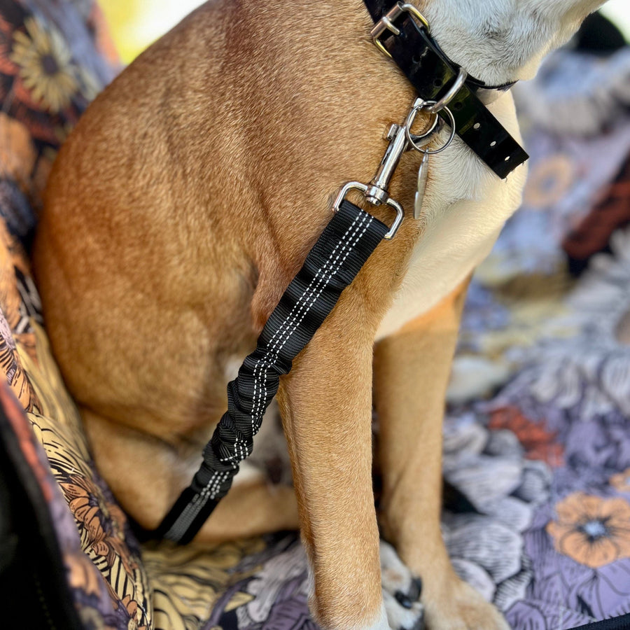 Reflective Shock Absorbing Safety Dog Seat Belt clipped to a dog in a car (view 3)