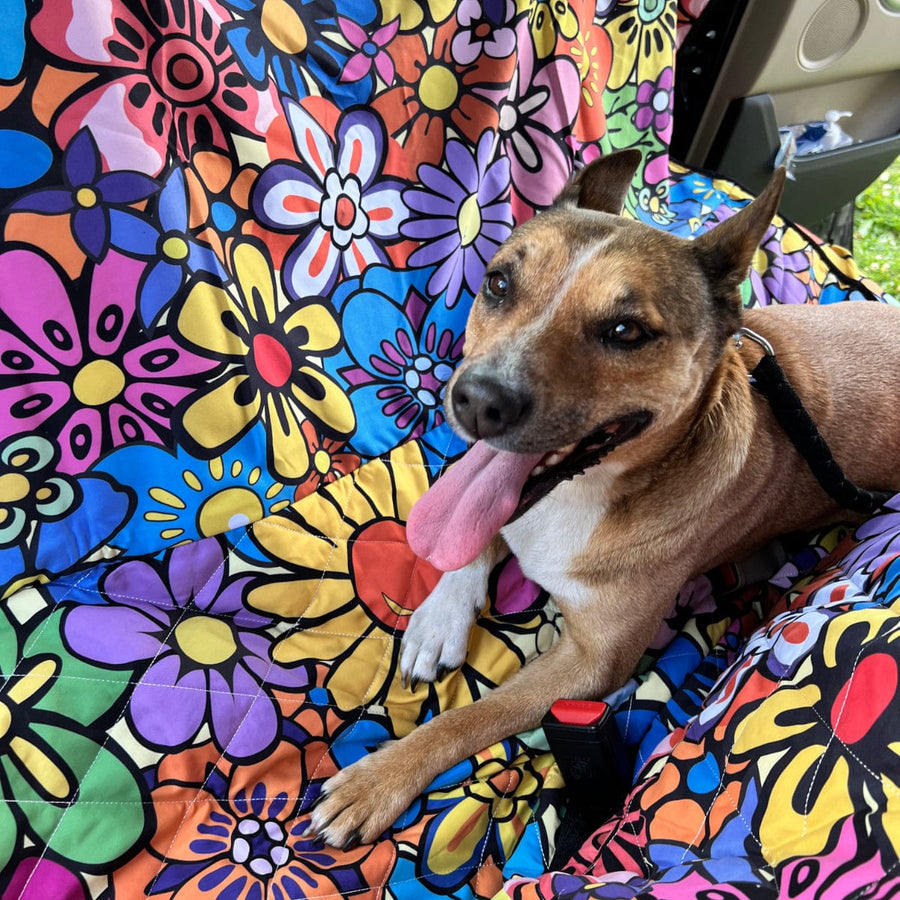 Floral Dream Dog Car Seat Covers with a dog sitting on it in a car
