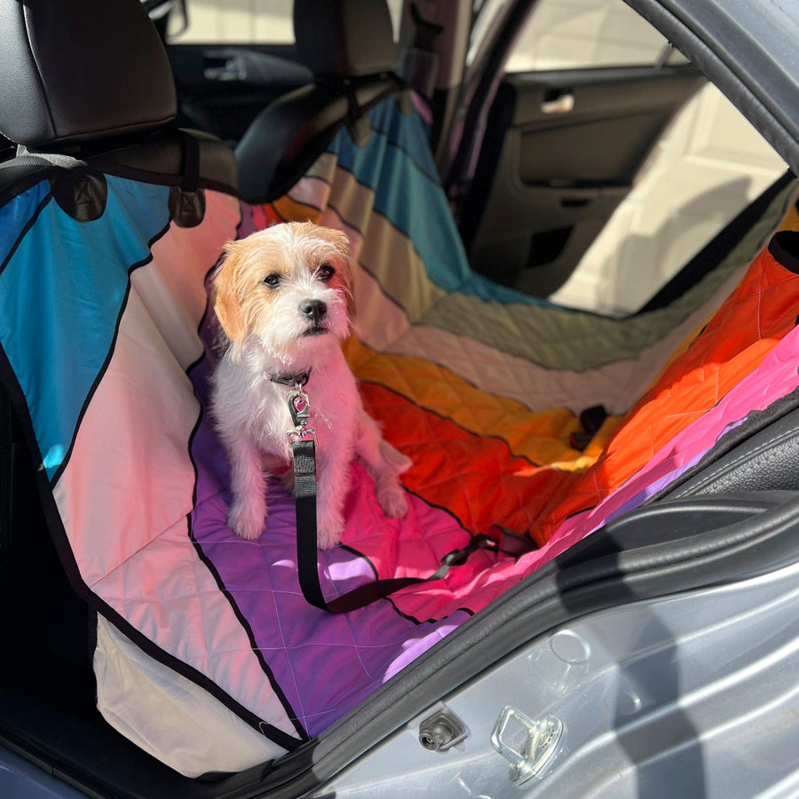 Retro Sun Rays Dog Car Seat Covers with a dog sitting on it in a car (view 2)