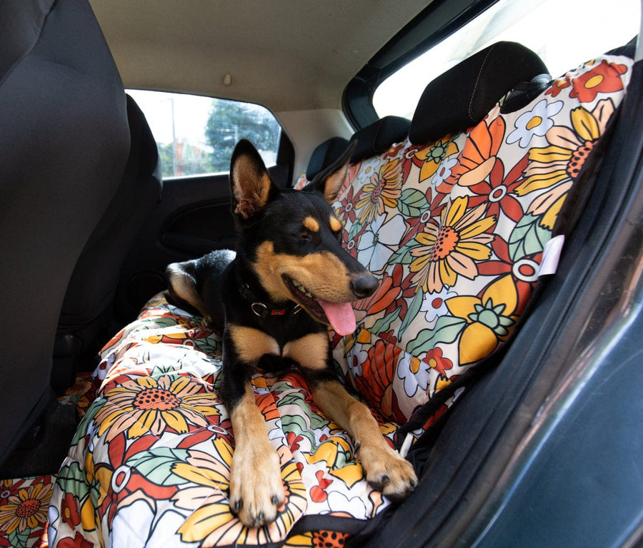 Rustic Blooms Dog Car Seat Covers with a dog sitting on it in a car